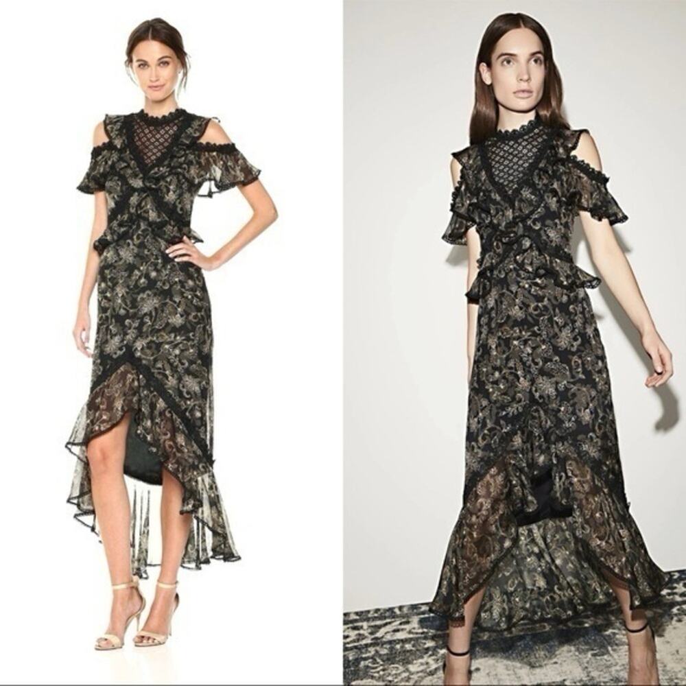 AMUR Womens 6 Printed Edna Dress 100% Organic Silk Floral Lace Ruffle Romantic - Picture 1 of 9